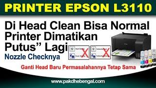 Epson L3110 Setiap Dimatiin Nozzlenya Putus, Dihead Clean Normal Lagi, Berhenti Print Putus Lagi