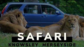 Knowsley Safari | Knowsley | Merseyside | Visit England | 2021