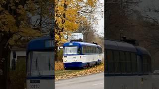 Autumn leaves  Tatra T3A tram in Riga 