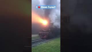 Do you love Steam Trains?