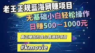 老王正规蓝海网赚项目全网独家网络赚钱技术全部无保留教学！