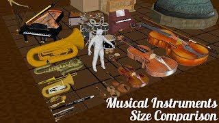 Musical Instruments Size Comparison