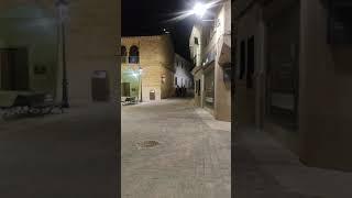 Guardia Nocturna Los Armaos