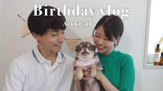 バースデーvlog：愛犬５歳の誕生日をお祝いした日