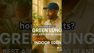 “Green Lung – Best Air-Purifying Plants” #plants #houseplants #shorts