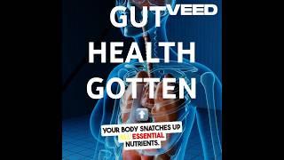 Gut Feeling: Digestive System, scary secrets decoded