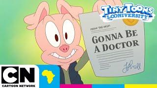 Medical School | TINY TOONS LOONIVERSITY | Cartoon Network Africa