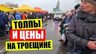 Много САЛА и МЯСА | ЦЕНЫ на рынке на Троещине | Киев сегодня