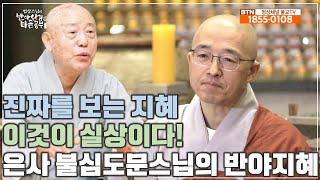 [반야3] 은사 불심도문 스님의 반야지혜, 진짜를 보는 지혜, 실상을 비춰보는 지혜