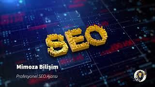 Profesyonel SEO ajansı; Mimoza Bilişim