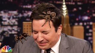 Jeff Musial Creeps Jimmy Out with Mexican Tarantulas