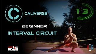 Calisthenics Beginner HIIT Circuit | Caliverse - Bodyweight Workout & Fitness (No Equipment)