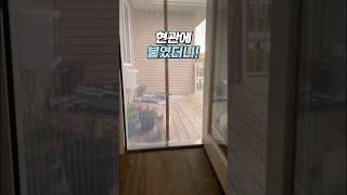 현관에 이거 하나로 여름이 달라졌어요      #쿠팡추천 #방충망문 #방충망교체
