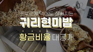 살빠지고 배부르고 맛있고 쉬운 귀리현미밥 만드는 방법 (소분보관팁)