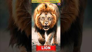 Duniya Ke Sabse Khatarnak Janwar  | Most Dangerous Animals In The World | #shorts #animals #facts