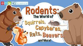 Rodents:The World of Squirrels, Capybaras, Rats, Beavers, and More!