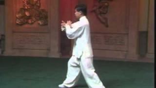 yang style taichi excerpt