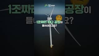 1조짜리 바다 공장이 들어선다고요? | 고성