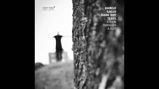 Danilo Gallo Dark Dry Tears - A View Through a Slot (Full Album)