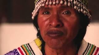 Etnikas clinic of integrative Medicine - Ayahuasca Shaman Jaime