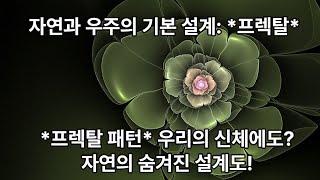 "프렉탈 우주" 자연과 생명 속의 기본 설계!