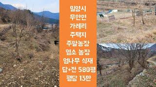 밀양시 무안면 가례리(총580평,7천5백만)