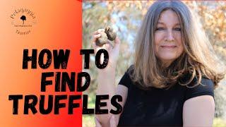 How to find truffles - Tutorial for Beginners