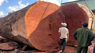 How to Cut Down a Giant Tree with Just a Chainsaw // Creative Design of a Super Large Round Table