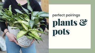 Perfect Pairings: Plants & Pots