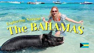 The BAHAMAS: A country of contrasts that you have to visit in 2025 How do people live there?