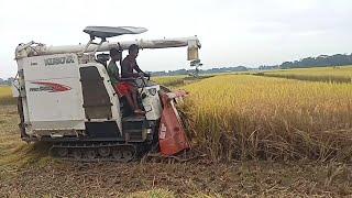 Kubota PRO588 combine harvester I Kubota dhan kata machine I Mini harvester