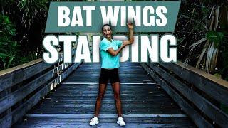 Effective Standing Bat Wings Workout | At Home No Equipment