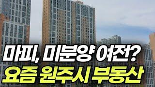 외지인 투자가 많았던 강원도 대표도시 원주시를 다녀왔습니다