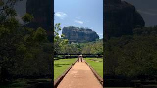 Majestic Sigiriya rock  #sigiriya #srilanka #srilankatravel #shorts #reels #reelsvideo #travel