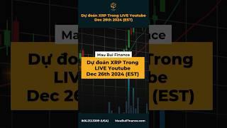 Dự đoán XRP trong Live Youtube Dec 26th 2024