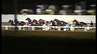 1987 Terang Pacing Cup