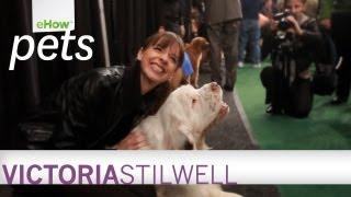 Victoria Stilwell on the New eHow Pets