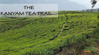 Kanyam Tea Trail | Cycling in Ilam