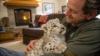 Man Saves Cute Baby Snow Leopard Cub ️