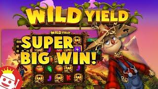 WILD YIELD RELAX GAMING  IS IT THE MAX WIN!??