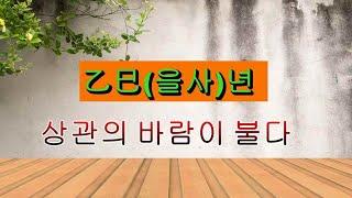 을사(乙巳)년- 자유로운 상관의 바람처럼  내틀을  깨고 나아가자~