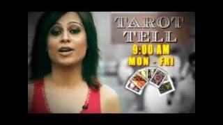 Sheelaa M Bajaj tarot tell on Headlines Today- Tarot Reader and Numerology