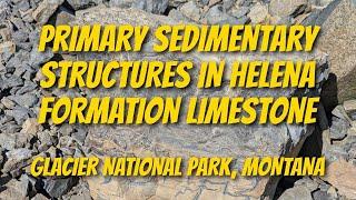 Primary Sedimentary Structures in Helena Formation Limestone