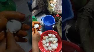 Boiled egg recipe | Boiled egg #shorts #short #foodie #trending #food #egg #streetfood #ytshorts #yt