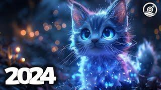 Music Mix 2024  EDM Mixes of Popular Songs  EDM Bass Boosted Music Mix #220