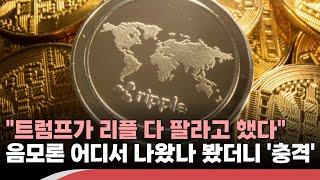 "트럼프, 정부 보유 리플 다 팔라고 했다"…비트코인 매거진 CEO 주장 진실은?