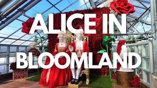 Alice in Bloomland at the Royal Botanical Gardens: A Complete Walkthrough