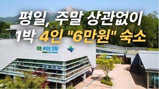 국내여행 1박 4인 6만원 숙소! - 이건 국가가 일 잘한 거 인정이네요