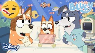 Hastalık | Bluey | Disney Channel TR