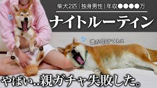 【誰も憧れない…】子犬を迎えて多頭飼いになったリアルな初ナイトルーティン。「年齢=彼女なし」